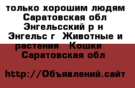 только хорошим людям - Саратовская обл., Энгельсский р-н, Энгельс г. Животные и растения » Кошки   . Саратовская обл.